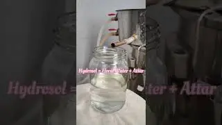 🌹Making of Perfumes🥰| Attars and Essential oil  #natural #fragrance  #flowers #perfume #attar