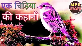 एक चिड़िया की कहानी|| motivational story of a Bird|| motivational story|| @mps story