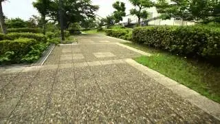 AllSteady 6 ファーストテスト (First Test)