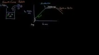 Cell Growth Phases