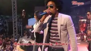 Mandinga de 1 IUNIE,2012 la Pensiunea ,,Randra''(II).mpg