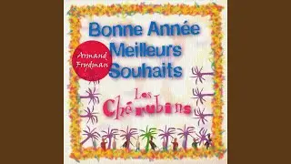 Bonne Année Meilleurs Souhaits (Radio Version)