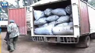 Illegal tree felling