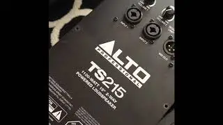 Alto professional TS215 fix