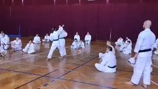 Masao Kagawa semin&aacute;rium  Junro Shodan bunkai