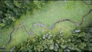 Intro To Our Channel | GETTING LOST IN FOREST