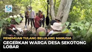 Penemuan Tulang Belulang Manusia Gegerkan Warga Dusun Panggang Sekotong