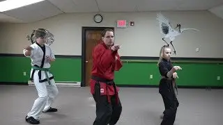 Major Branches of White Crane Kung-Fu