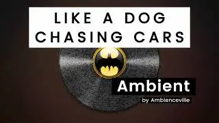 Like A Dog Chasing Cars | Ambient