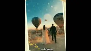 Hot Air Ballon