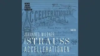 Schatz-Walzer, Op. 418