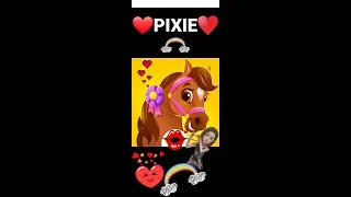 💗🦄PIXIE THE PONY GAMEPLAY MY VIRTUAL PET💗🦄