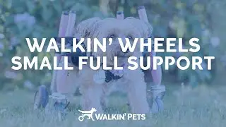 Walkin' Wheels Full Support Wheelchair for Pets - Size SMALL