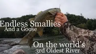 Episode 4: New River Cast & Blast - Chasing Smallmouth and Geese on the World's 3rd Oldest River