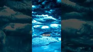 Discover the Magic of Glowworm Caves: Nature&rsquo;s Underground Light Spectacle #underground #glowworm