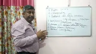 Important Roles of Nitrogen in Plants