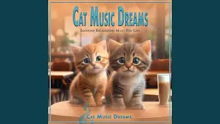 Mindful Cat Happy Moments