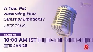Is Your Pet Absorbing Your Stress or Emotions? | Lets Talk