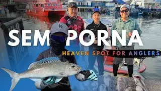 Strike Garrgon❗| Jigging at Base Camp Giant Grouper | Semporna, Sabah.
