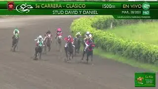 2021-093 Serrano (Ecu) Cl. Stud David y Daniel - mzo. 28, 2021 - Hip. Miguel Salem - Revista La Fija