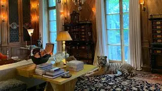 Epstein NYC townhouse tour - 9 East 71st Street