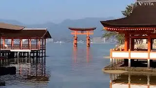 宮島に日帰り旅行して来ました⛩️🍦🥮#宮島 #広島県 #hiroshimaken#miyajima#travel 