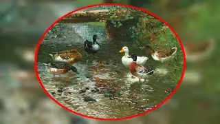 &auml;lteste europ&auml;ische K&uuml;nstlerkolonie - Malerdorf Willingshausen (in der Schwalm)