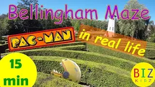 Pacman in real life! At Bellingham Maze - BIZ KIDZ