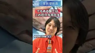 超危険外来種ワカメ