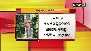 Worlds Tiger Day 2019: Increasing Number Of Tigers To Be Announced Today