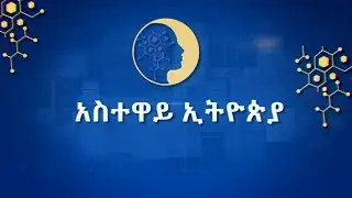 አስተዋይ ኢትዮጵያ