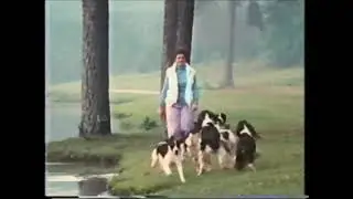 Top Breeder Pedigree/KALKAN Commercial ~ #3
