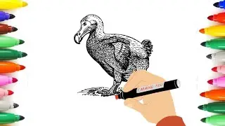 Dodo drawing easy/dodo drawing with color/Dodo drawing step by step🤩😍