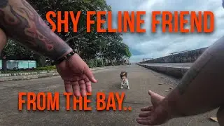#POV: ride with 