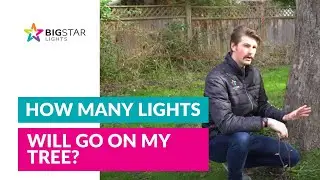 Christmas Lighting Tips | How To Estimate The Amount of Lights for An Outdoor Tree