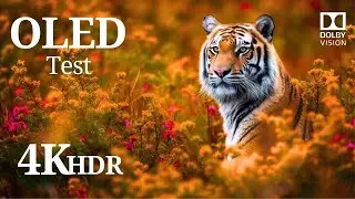REAL 4K HDR - Best of 4K Video ULTRA HD - Dolby Vision 60 FPS