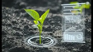 Applications of AI in Agriculture!!!
