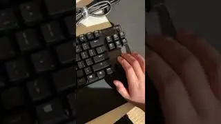 apex 7 tkl red switches sound