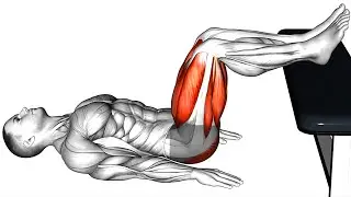 Bodyweight Routine - No Equipment Needed!