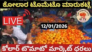 ಕೋಲಾರ ಟೊಮೆಟೊ ದರಗಳು||12/01/2026||today Tomato rates in.#kolar #kolartomatomarketratetoday #chintamani