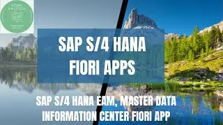 Display Master data information center Fiori app, SAP HANA EAM