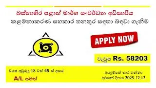 🔴 Management Assistant - Western Province Provincial Road Development Authority කළමනාකරණ සහකාර තනතුර