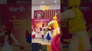 Punjabi University Patiala Bhangra || P.U.P. Bhangra || PUP Interzonal Youth Festival Bhangra
