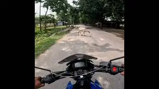Side 🛣️ Tree 🌴. #shorts #ytshorts #viral #trending