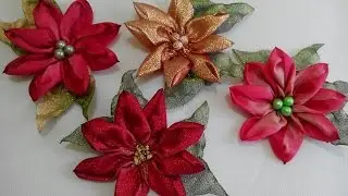 NOCHEBUENA SUPREMA(Poinsettia Supreme)