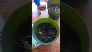 Spring Activity You Must Do With Kids