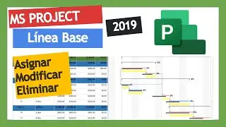 L&iacute;nea Base MS Project