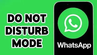 Как включить режим &laquo;Не беспокоить&raquo; в WhatsApp 2024 | Режим WhatsApp DND на iPhone