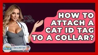 How To Attach A Cat ID Tag To A Collar? - Ask A Pet Vet