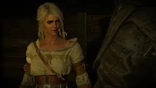 Witcher 3 avallach lab demolition